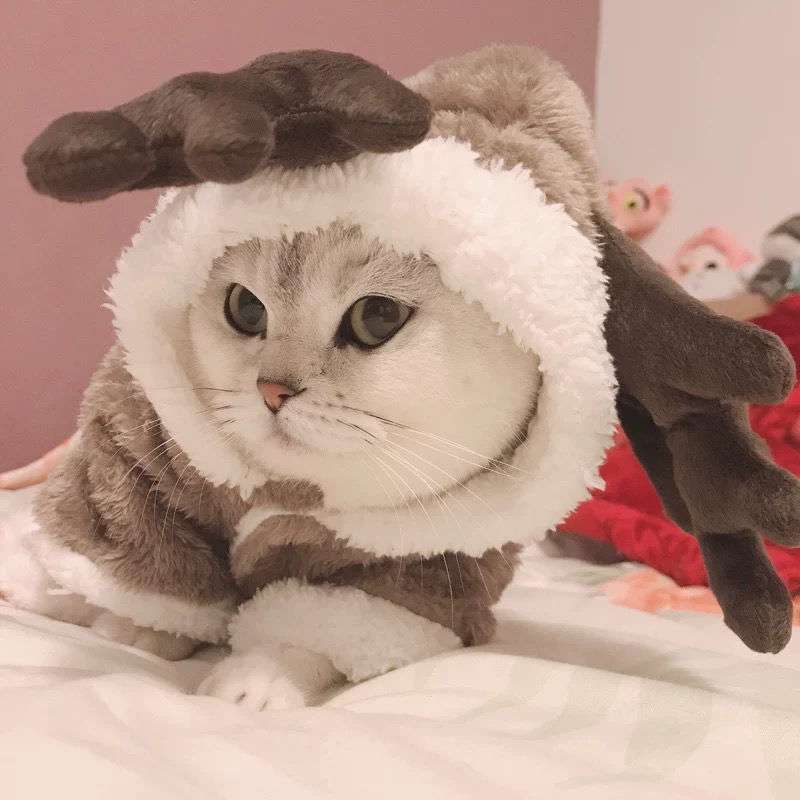 猫服 コスプレ | もこもこトナカイ変身パーカー