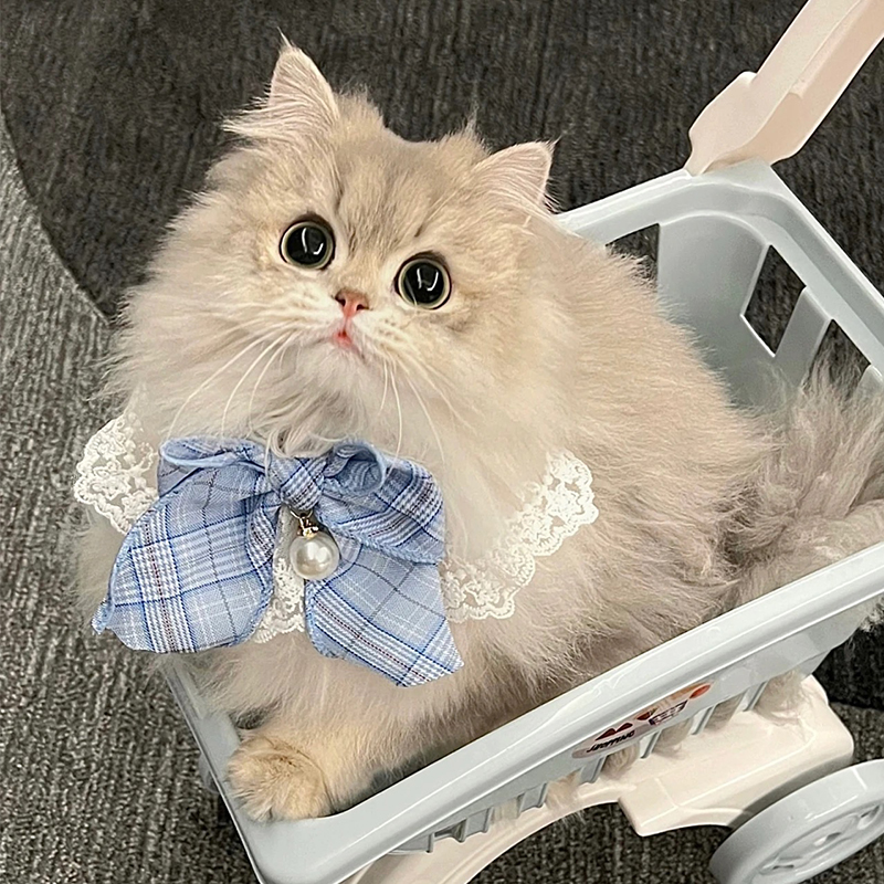 猫服 お姫様リボン首輪