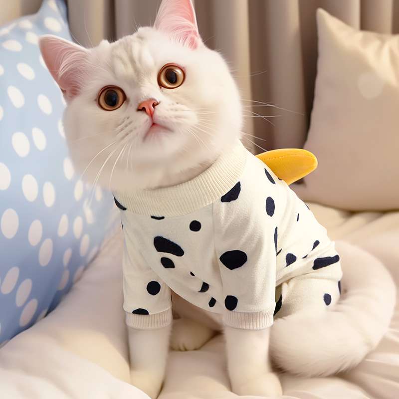 Cat Clothing Winter Jacket | Fluffy Cat Hoodie