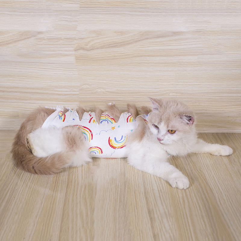 https://fulmo-img-server.com/nekohapi/fbeac90e-9789-41e7-a0ab-59237251f381.jpg