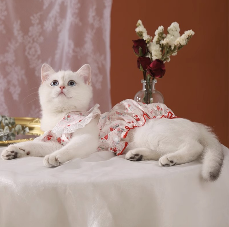 猫服 猫用 花柄フリル付き 夏向け洋服
