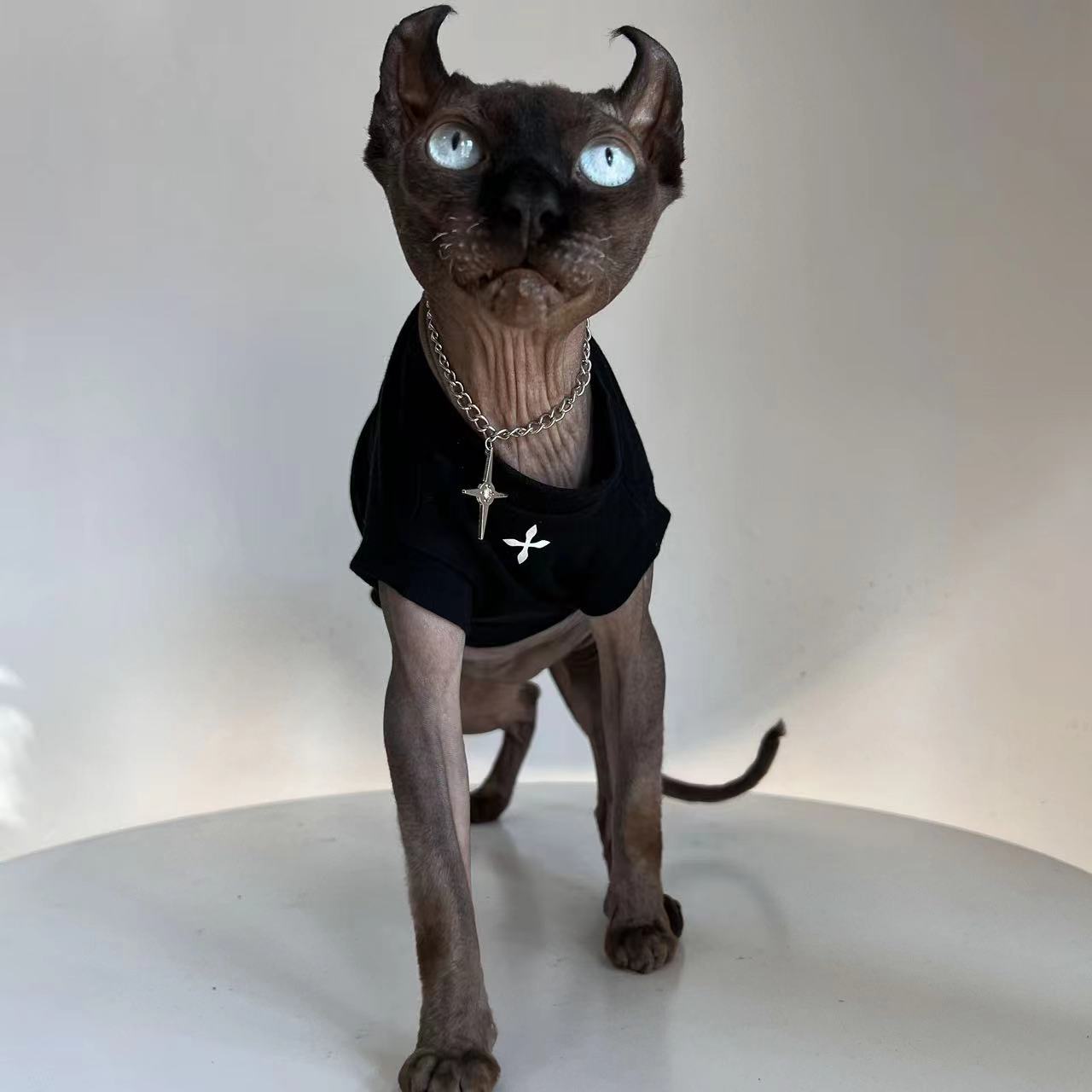 https://fulmo-img-server.com/nekohapi/fde9e41e-6455-49e1-9e9f-98a9b15395ae.jpg