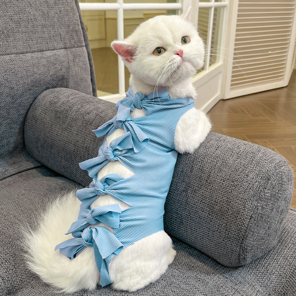 https://fulmo-img-server.com/nekohapi/fe9df705-7c9f-430b-8d5b-dcd3279fa63c.jpg