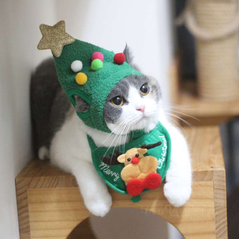 猫服 コスプレ | クリスマス猫コスチュームセット