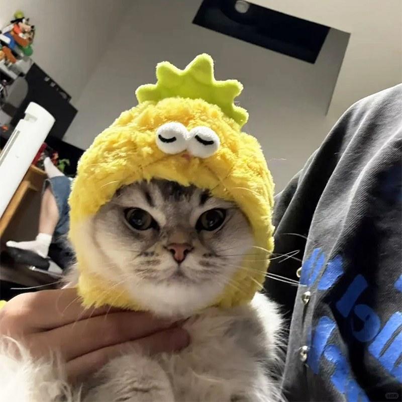 猫服 もふもふ野菜なりきり帽子