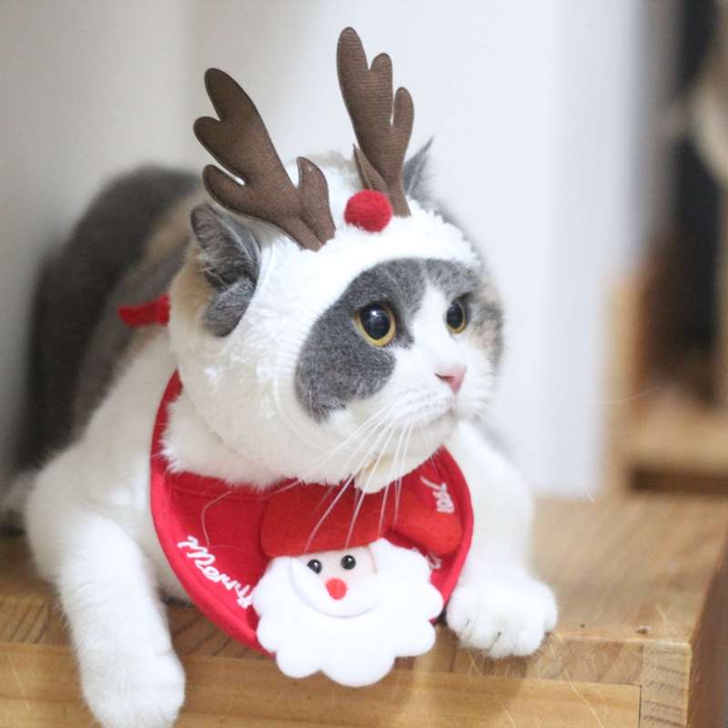 猫服 コスプレ | クリスマス猫コスチュームセット