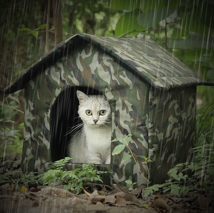 緑の屋根の猫ちゃんハウス 猫ハウス 迷彩柄防水屋根付き猫ハウス屋外用折りたたみテント 屋外用