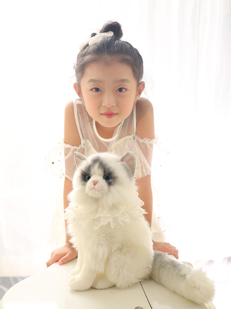 https://fulmo-img-server.com/nyankomo/06f71932-d502-41cf-8853-ae17a72227e5.jpg