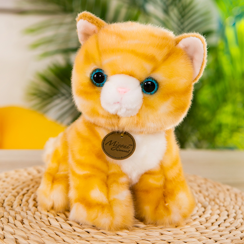 https://fulmo-img-server.com/nyankomo/0da0946f-7d3f-49c4-a5fc-b71742b1582b.jpg