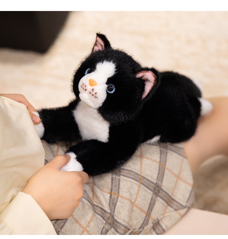 https://fulmo-img-server.com/nyankomo/0e6cf71b-cd46-4c1c-837b-ba5cfbd2cb48.jpg