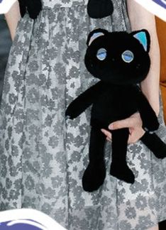 https://fulmo-img-server.com/nyankomo/1743494726291_6a9iumqa_lp1vjc47.jpeg