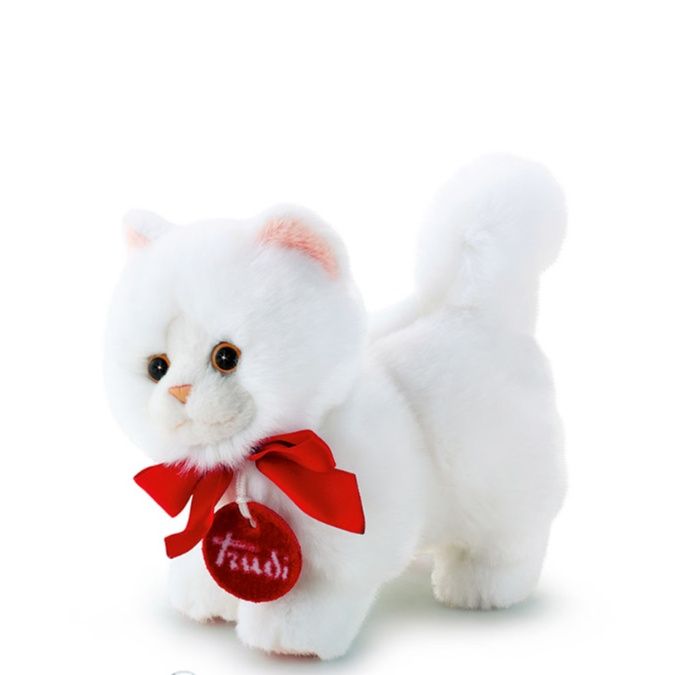 https://fulmo-img-server.com/nyankomo/1743496164080_9k1d4j4e_7b0bwmnw.jpeg