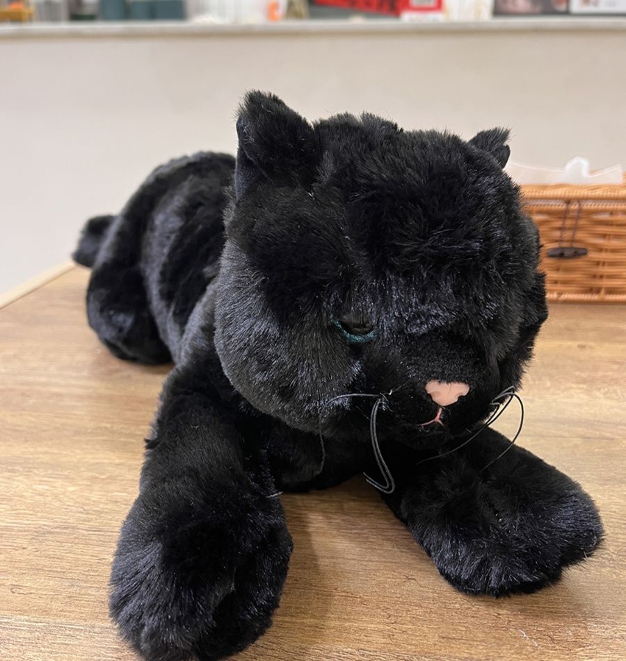 猫ぬいぐるみ 黒猫 ふわもち黒猫ぬいぐるみ 
