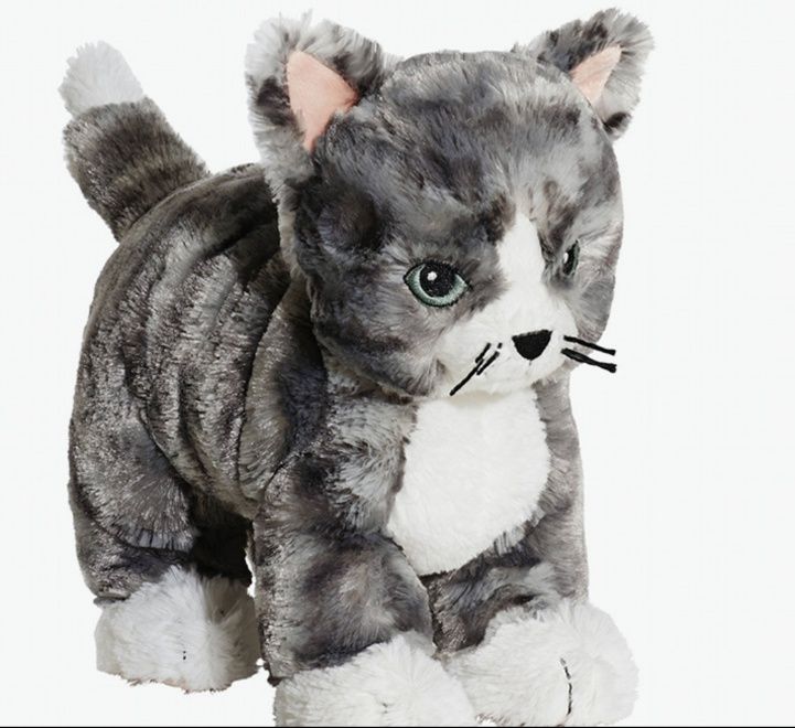 https://fulmo-img-server.com/nyankomo/1743508154520_0puy8xr1_ittydcyb.jpeg