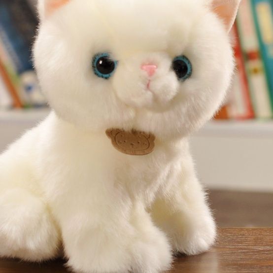 https://fulmo-img-server.com/nyankomo/1743508298649_gvuoei3l_d7e638u3.jpeg