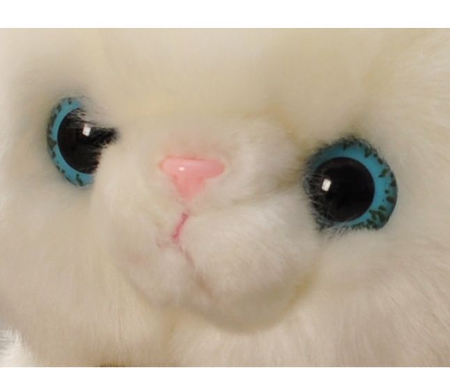 https://fulmo-img-server.com/nyankomo/1743508329790_ptjtqypt_2wp66245.jpeg