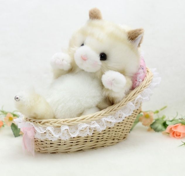https://fulmo-img-server.com/nyankomo/1743509332309_abxkll1w_ramw4k9s.jpeg