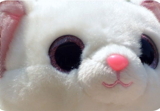https://fulmo-img-server.com/nyankomo/1743514459901_fbcep7g6_z19ape0w.jpeg