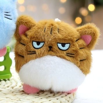 猫ぬいぐるみ つぶらな瞳の不機嫌にゃんこ