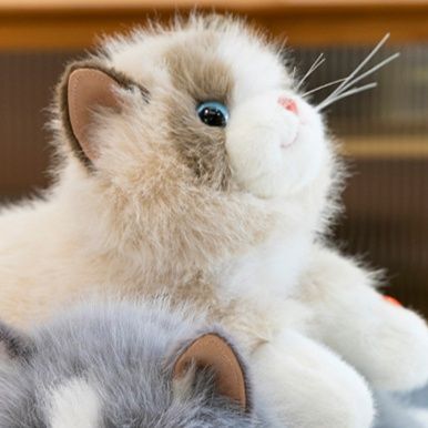 猫ぬいぐるみ 癒しの子猫 シャム風ぬいぐるみ