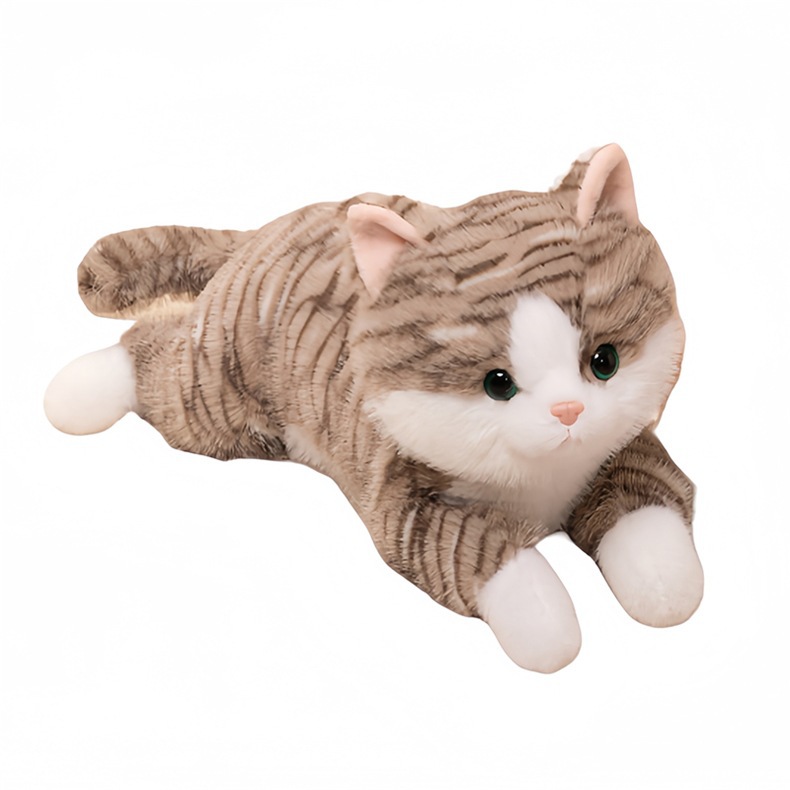 https://fulmo-img-server.com/nyankomo/17565bfb-ed25-4f12-96bc-a5157871f019.jpg