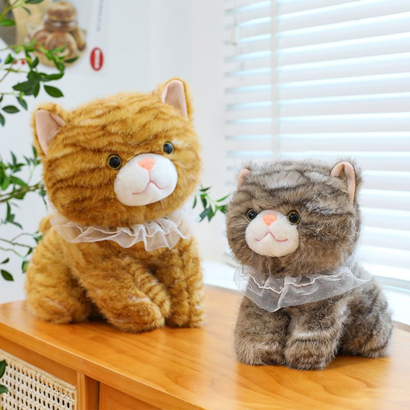 https://fulmo-img-server.com/nyankomo/1758277489105_a55smg58_z6ayhdzc.jpeg