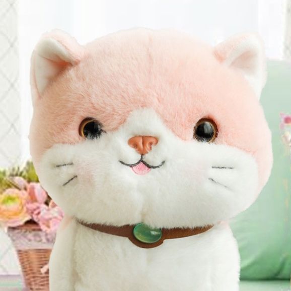 https://fulmo-img-server.com/nyankomo/1758288920255_0joutbuq_8hkh9byn.jpeg