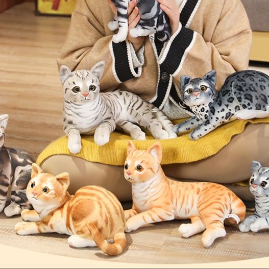 https://fulmo-img-server.com/nyankomo/1758289067658_lntwt3ua_8m181oxm.jpeg