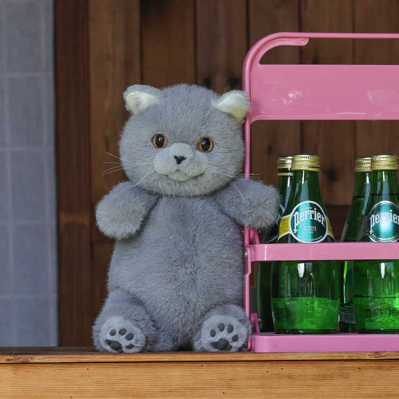 ロシアンブルーの美しさをそのまま再現！リアルぬいぐるみで上質な癒し時間を過ごす5選