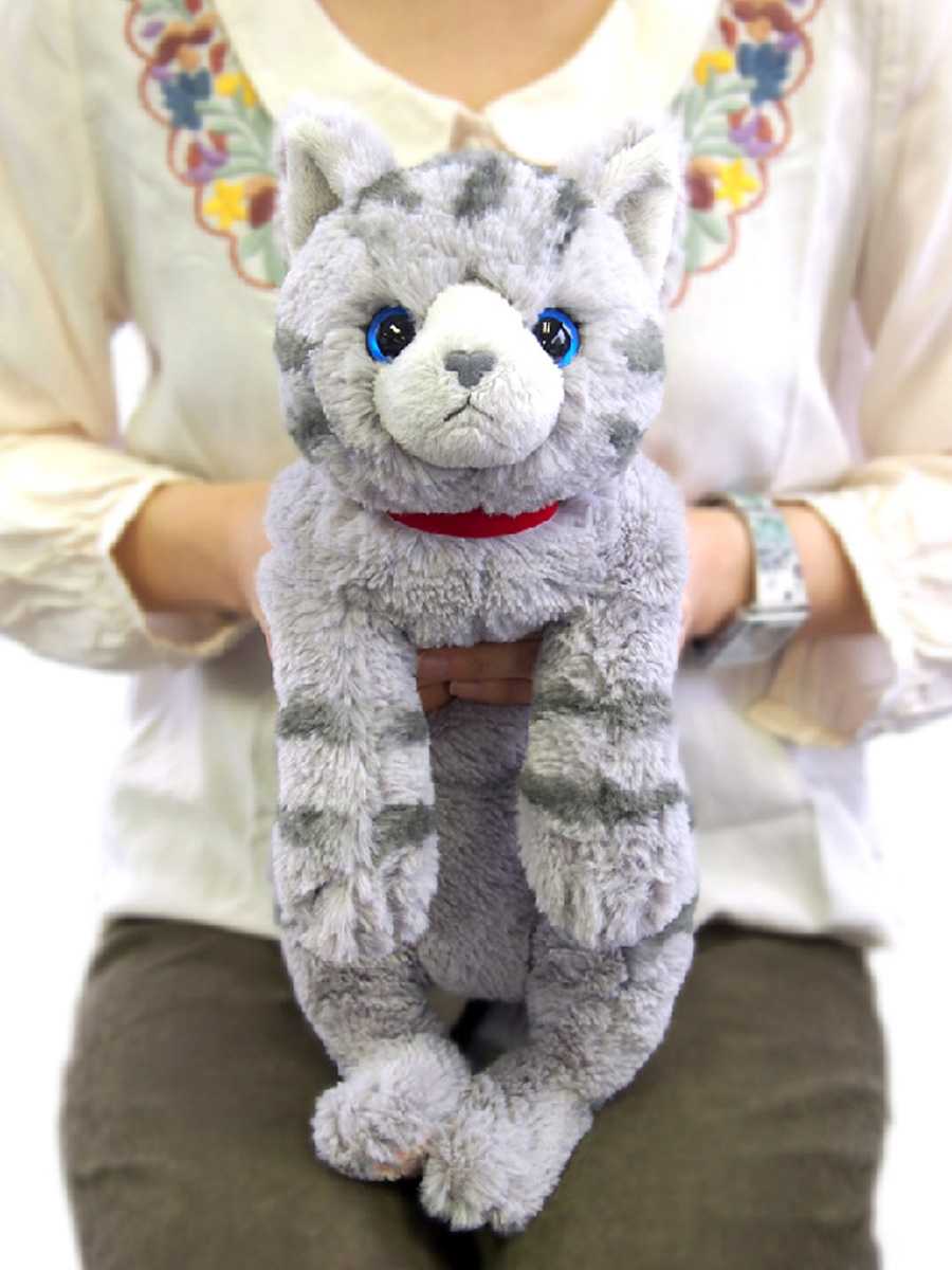 リアルな子猫ぬいぐるみで毎日がもっと愛らしい時間になる！心がキュンとする5選