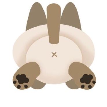 猫ぬいぐるみ ふわもち大きな瞳の癒し系抱っこ猫ちゃん