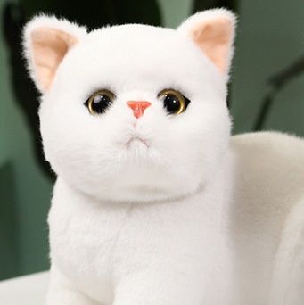 猫ぬいぐるみ もちもちお座り白色子猫のふわふわ癒し系ぬいぐるみ