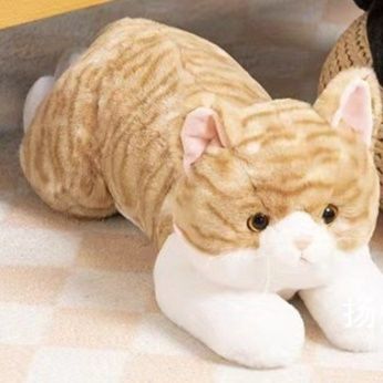 猫ぬいぐるみ まんまる美猫のトラ茶抱きぬいぐるみ