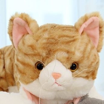 猫ぬいぐるみ まんまる美猫のトラ茶抱きぬいぐるみ