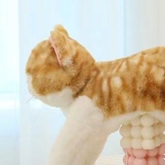 猫ぬいぐるみ まんまる美猫のトラ茶抱きぬいぐるみ