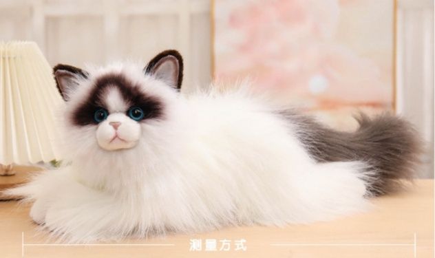 https://fulmo-img-server.com/nyankomo/1778648743359_clyq19ig_3vrfvc9a.jpeg