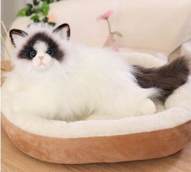 https://fulmo-img-server.com/nyankomo/1778648783445_mpo5732j_a98633wv.jpeg