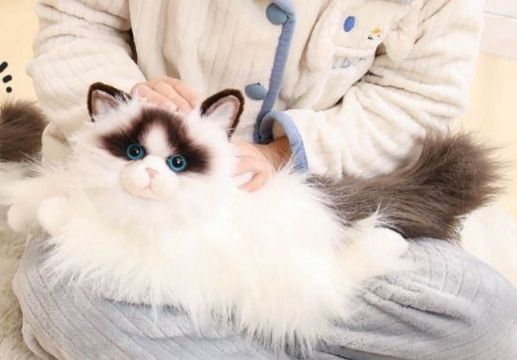 https://fulmo-img-server.com/nyankomo/1778648893587_9x74ly6q_dgu5i2jc.jpeg