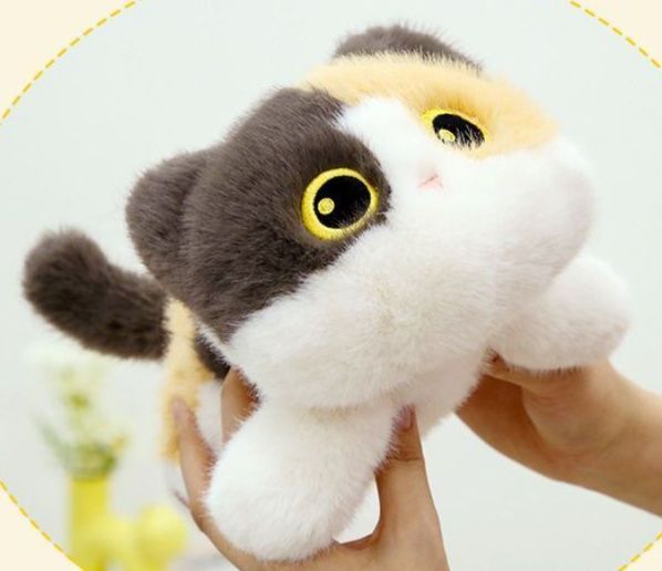 https://fulmo-img-server.com/nyankomo/1778722665336_ko1r2snh_ijxhn256.jpeg