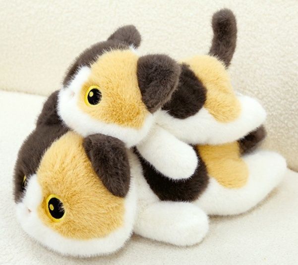 https://fulmo-img-server.com/nyankomo/1778722890994_f6lwk5mk_yysfxyf2.jpeg