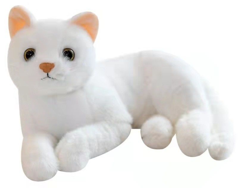 https://fulmo-img-server.com/nyankomo/1778725526117_wjux1x3j_lvm42rv8.jpeg
