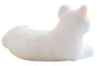 https://fulmo-img-server.com/nyankomo/1778725647373_a3v266kh_qc0n5gp3.jpeg