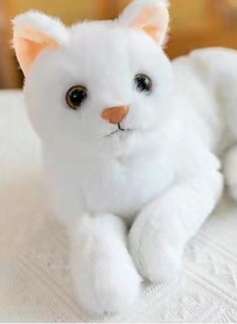 https://fulmo-img-server.com/nyankomo/1778725737046_91s4bcwa_swv7ji65.jpeg