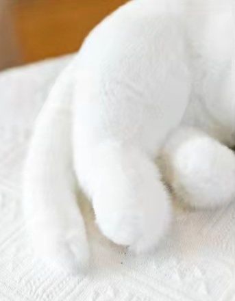 https://fulmo-img-server.com/nyankomo/1778725789004_yamxtv98_1fea6lmf.jpeg