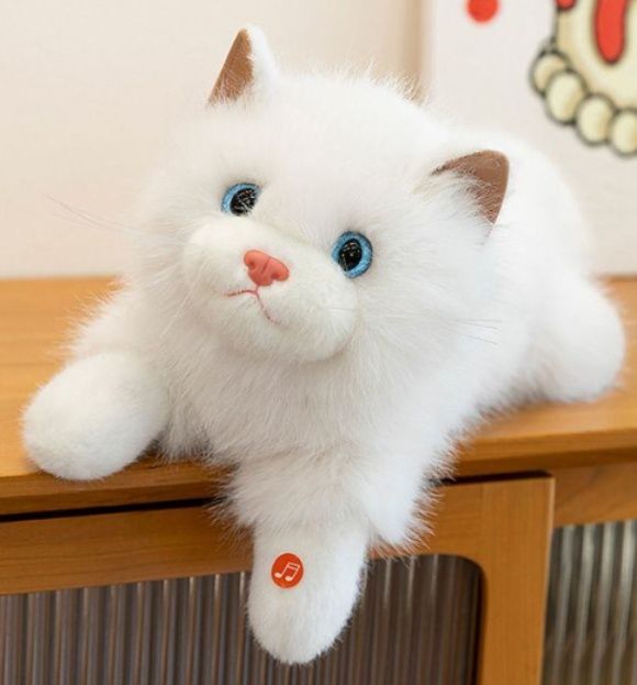 https://fulmo-img-server.com/nyankomo/1779072823524_zh0kn5gt_1x4526fu.jpeg