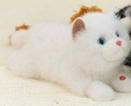 https://fulmo-img-server.com/nyankomo/1779073003960_ba8lvm15_9lqlrip8.jpeg