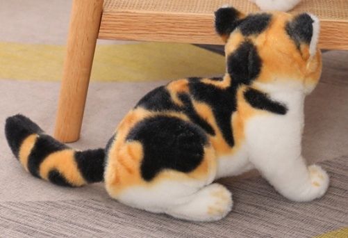 https://fulmo-img-server.com/nyankomo/1779078931250_t2p8yrfu_u4drjiel.jpeg
