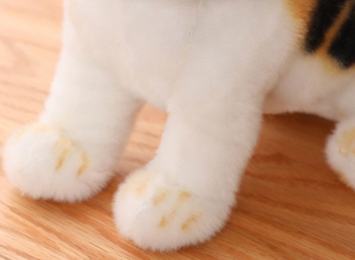 https://fulmo-img-server.com/nyankomo/1779079002716_xdawmyp7_3yjpf9cf.jpeg