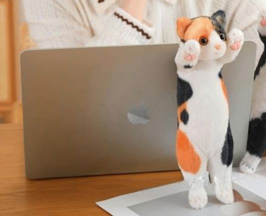 https://fulmo-img-server.com/nyankomo/1779080266419_nlcbrdyo_nrn6dlqc.jpeg