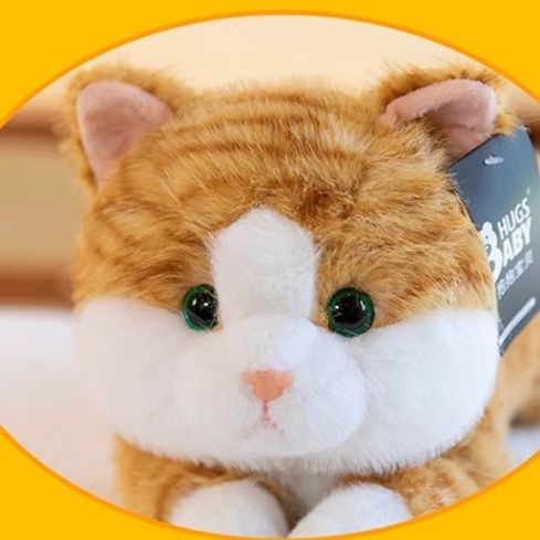 https://fulmo-img-server.com/nyankomo/1781142412867_r4fuvnip_jk7vsj5v.jpeg